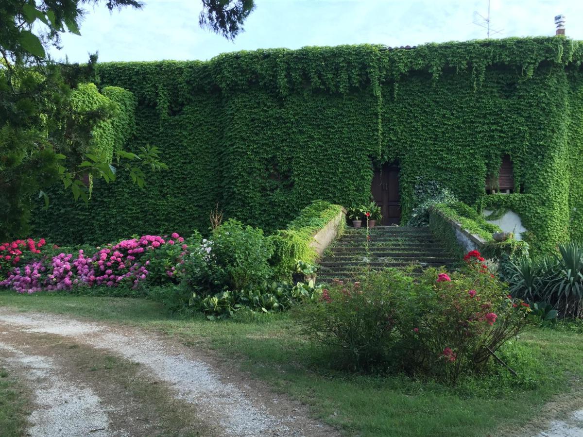 B&B Corte Vo Grande Pegognaga Kültér fotó