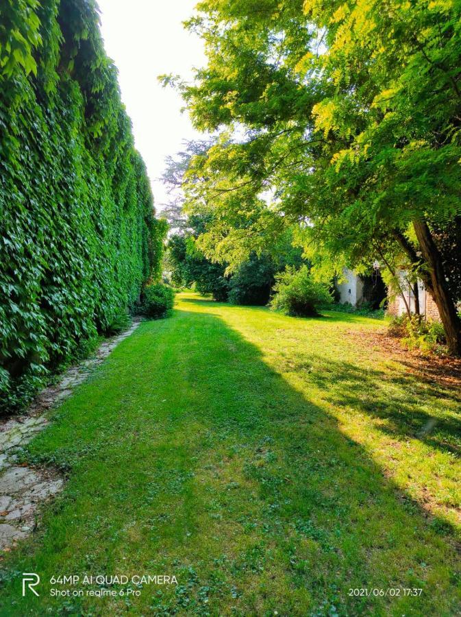 B&B Corte Vo Grande Pegognaga Kültér fotó